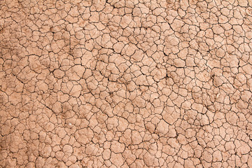 cracked earth