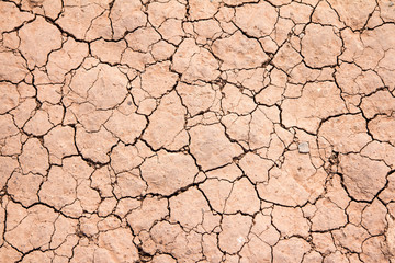 cracked earth