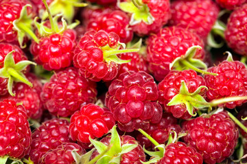 raspberries