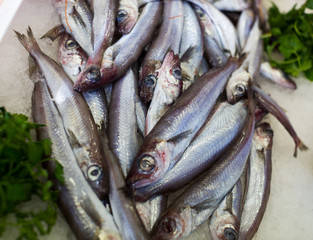 Obraz premium sprat fishes market