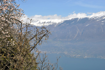 Strada di Provinziale 38 bei Tignale