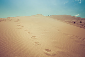 desert dunes, big dune in the desert, kazakhstan, central asia, red sand dunes, flowers in the desert