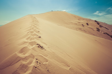 Fototapeta na wymiar desert dunes, big dune in the desert, kazakhstan, central asia, red sand dunes, flowers in the desert