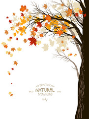 Autumn background with tree