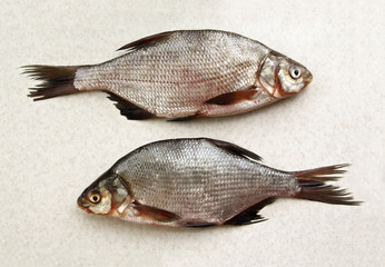 two crucian fishes on the marble table. top view, flat lay.