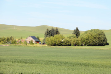 Scenic landscape near Palouse Washington state