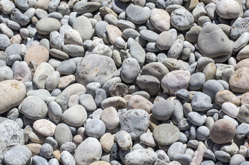Nature background  close up