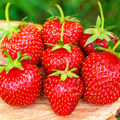 Group of fresh, organic strawberry on wooden board, outdoors