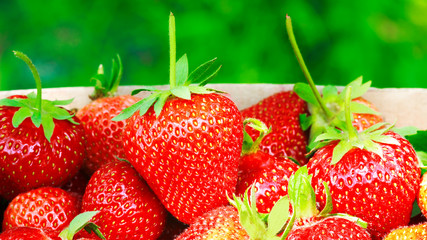 Group of ripe, organic strawberry in box on green background