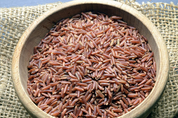 ਏਸ਼ੀਆਈ ਚੌਲ 벼 ধান برنج 水稻 നെല്ല് ਏਸ਼ੀਆਈ ਚੌਲ Рис посевной Arroz Ryż siewny धान Riso Risotto Oryza sativa گیاه Ris Riz شال Rice