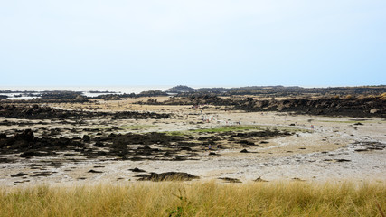 People walking in the low tide landscape of Iles de Chausey