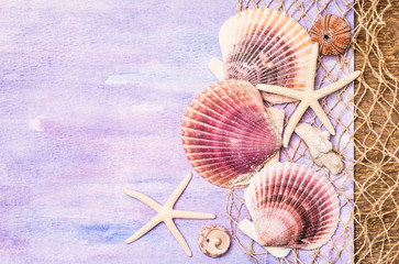 Seashells and starfish background with copy space.