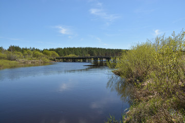 Fototapeta na wymiar Russian forest river in spring.