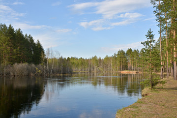 Obraz premium Shore the forest river in springtime.