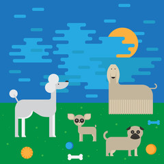 flat dog characters set, cartoon pet animal collection chihuahua, pug and afgan greyhound on the walk