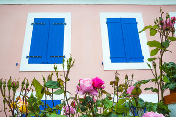volets bleus avec roses