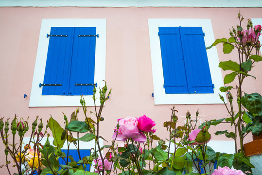 volets bleus avec roses