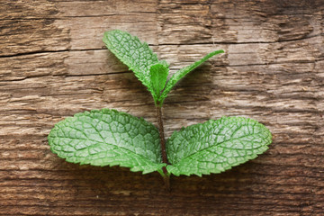 Fresh mint leaves on wooden background © Africa Studio