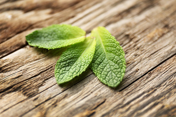 Fresh mint leaves on wooden background