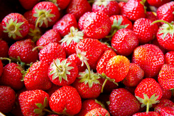 strawberry on white background