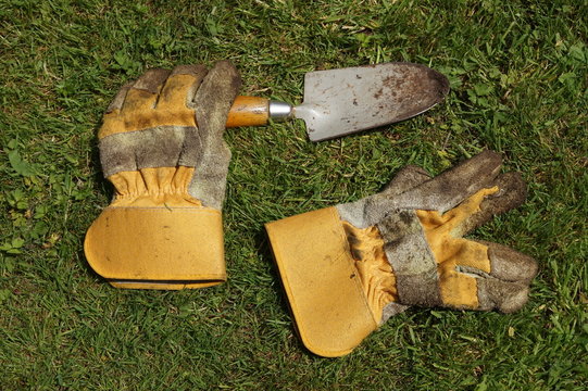 Dirty Gardening Gloves And Trowel