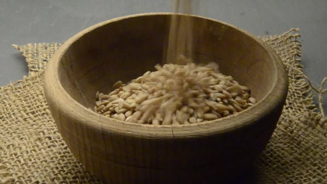 ᎤᎦᏔ ተልባ كتان তিসি Културен лен Lan Lli Almindelig H&oslash;r &Lambda;&iota;&nu;ά&rho;&iota; Linum usitatissimum Len set&yacute; Gemeiner Lino Lein Flax کتان Linseed Seed פשתן 亚麻 Seme Linaza Semilla Len zwyczajny Лён обыкновенный Vlas