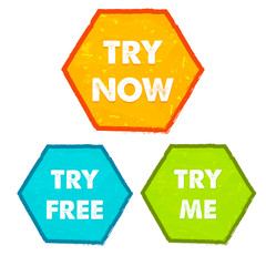 try now, try free, try me in grunge flat design hexagons labels