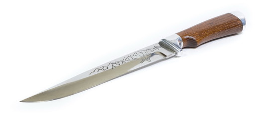 Beautiful hunting knife against white background