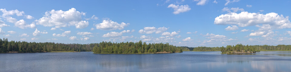 panorama of a forest lake