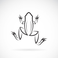 Fototapeta premium Grafika wektorowa wzoru żaby na białym tle.