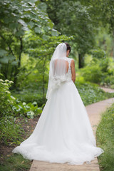 beautiful bride is standing in wedding dress on green background, view from behind