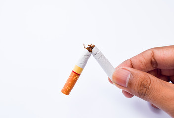 Broken cigarette in man hands,world no tobacco day concept