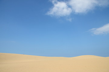 Fototapeta na wymiar Tottori Sand Dunes in JAPAN (Japan's largest dune, a state's designated natural monument 