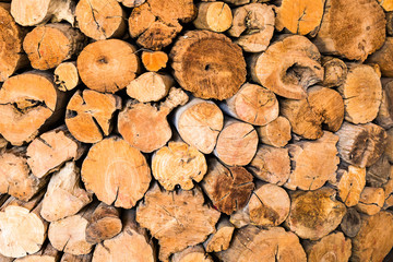 pile of cut wood stump log texture Used as background