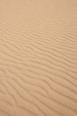 Fototapeta na wymiar Tottori Sand Dunes in JAPAN (Japan's largest dune, a state's designated natural monument 