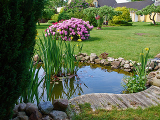 Beautiful classical garden fish pond gardening background