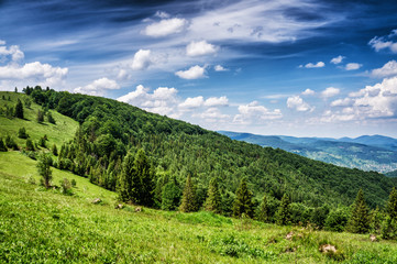 HDR views during uphill Makovytsya Ukraine