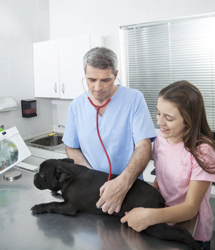 Vet Examining French Bulldog With Stethoscope By Girl