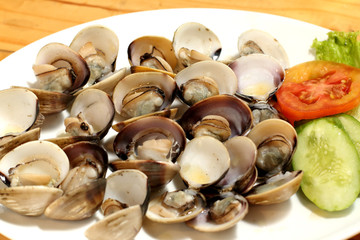 Shell food in white plate