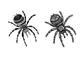 Vector of Abstract Spider