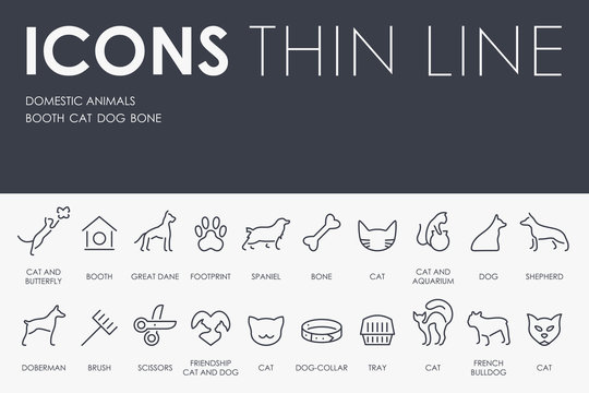 Domestic Animals Thin Line Icons