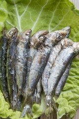 fried sardines on the plate
