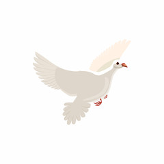 White pigeon icon, cartoon style