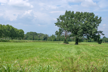 paesaggio di campagna