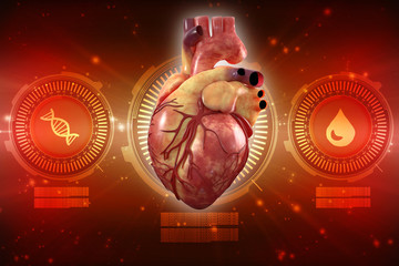 Digital illustration of heart in colour background