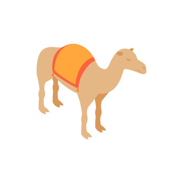 Camel icon, isometric 3d style