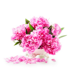 Peony pink flowers in vase