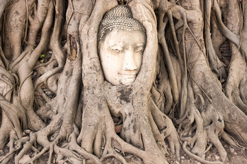 Head of Buddha in Ayutthaya