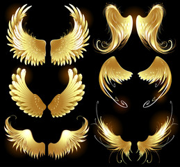 Fototapeta premium Golden Wings of Angels.