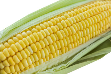 Close up fresh corn  isolated on white background